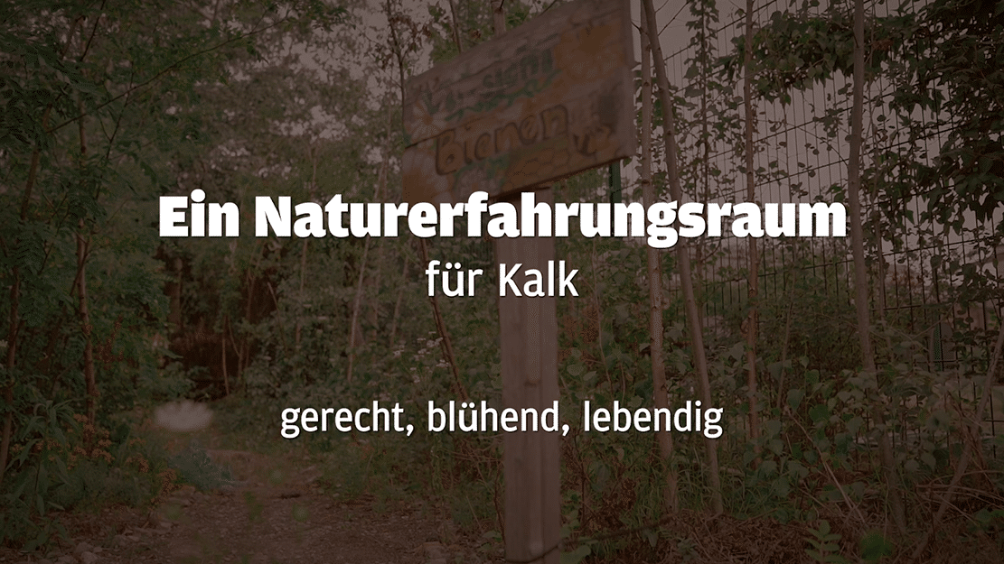 Naturerfahrungsraum